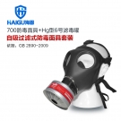 海固HG-700+HG-LV P-Hg-2全面罩水银防毒面具