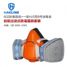 海固HG-602 P-H2S-1半面罩硫化氢防毒面具