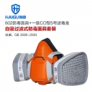 海固HG-602 P-CO-1半面罩一氧化碳防毒面具