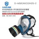 海固HG-800 D-A/B/E/K/H2S/CO-2全面罩综合防毒面具