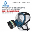 海固HG-800D D-A/B/E/K/H2S/CO-2全面罩综合防毒面具