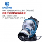 海固HG-800D Z-A/B/E/K/H2S-P2-2全面罩综合防毒面具