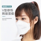 史迪克柳叶形鱼形立体口罩