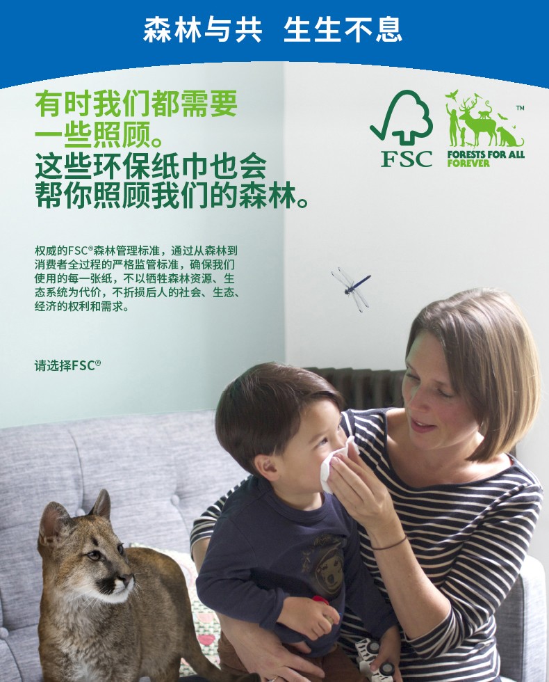 金佰利82280精巧大卷擦手纸图6