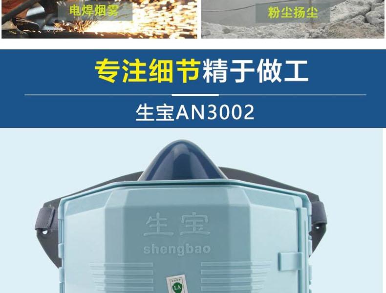 生宝3002防尘面具图片4