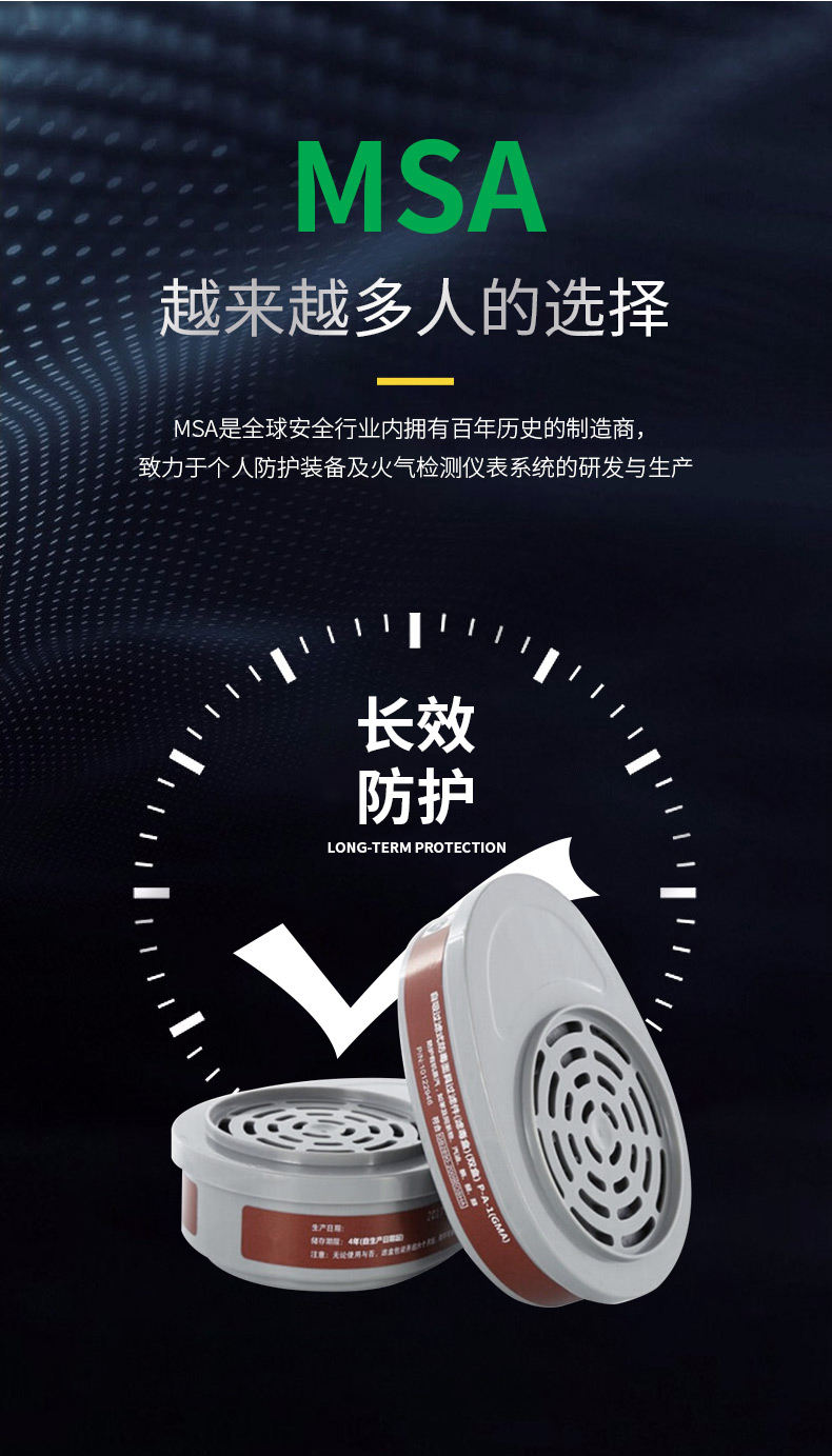 梅思安10120742滤毒盒6