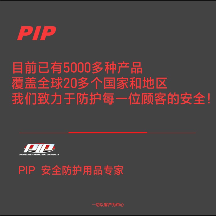 PIP 393-FCX10折叠耳带式可水洗防尘口罩图片4