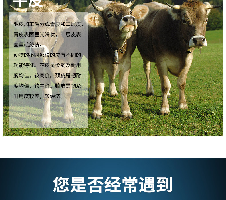 友盟AP-1510耐磨抗穿插牛二层皮劳保手套图片5