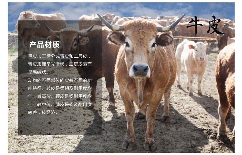 友盟AP-1102防火隔热牛青皮电焊手套图片8