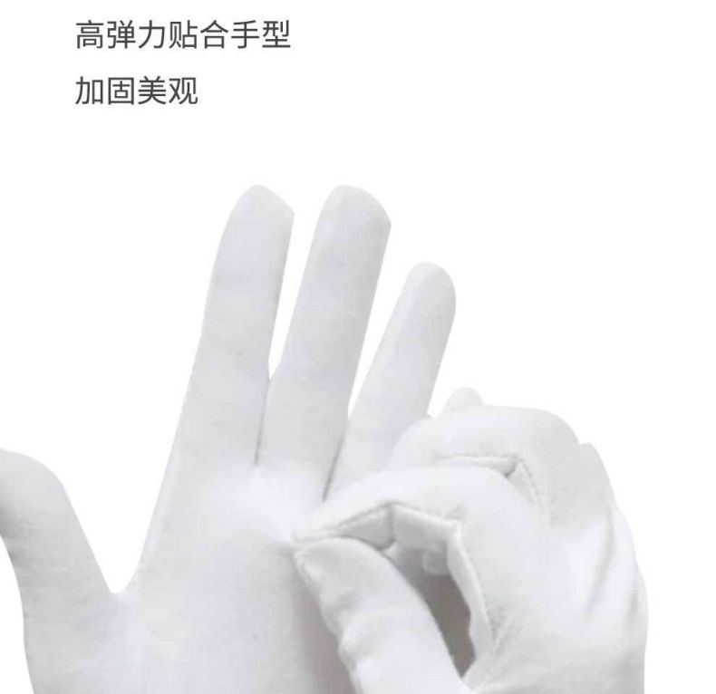 汉盾HD-GP5506纯棉白色礼仪劳保手套5