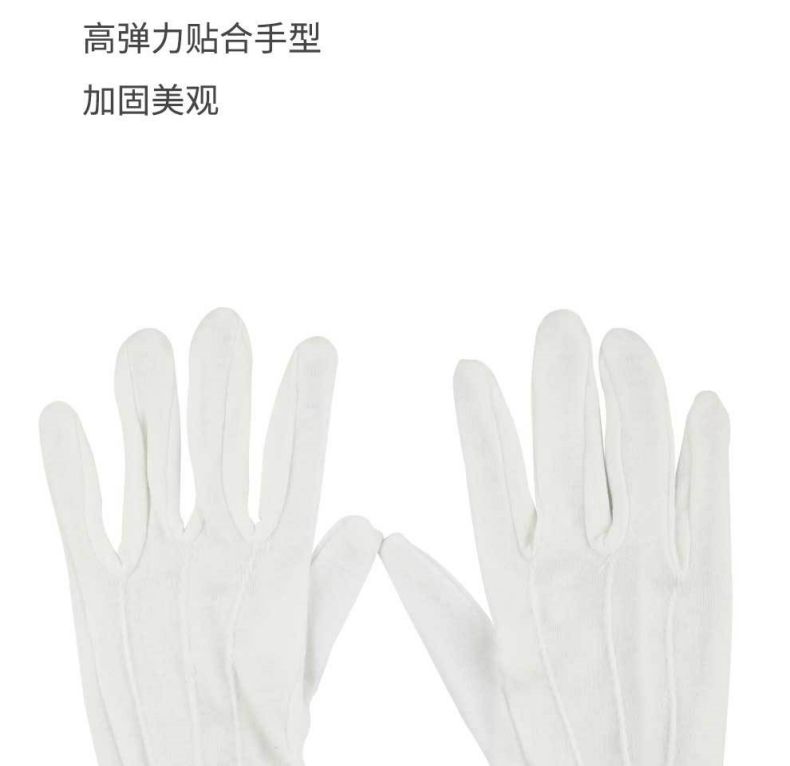 汉盾HD-GP5505涤棉背三筋带扣白色礼仪劳保手套5