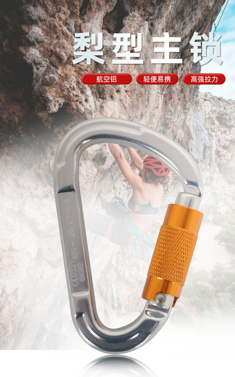 速降安全主锁D型自动锁1