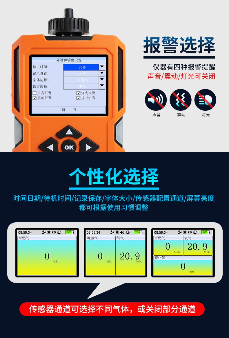 爱德克斯X-4(BX)泵吸多气体检测仪9.jpg