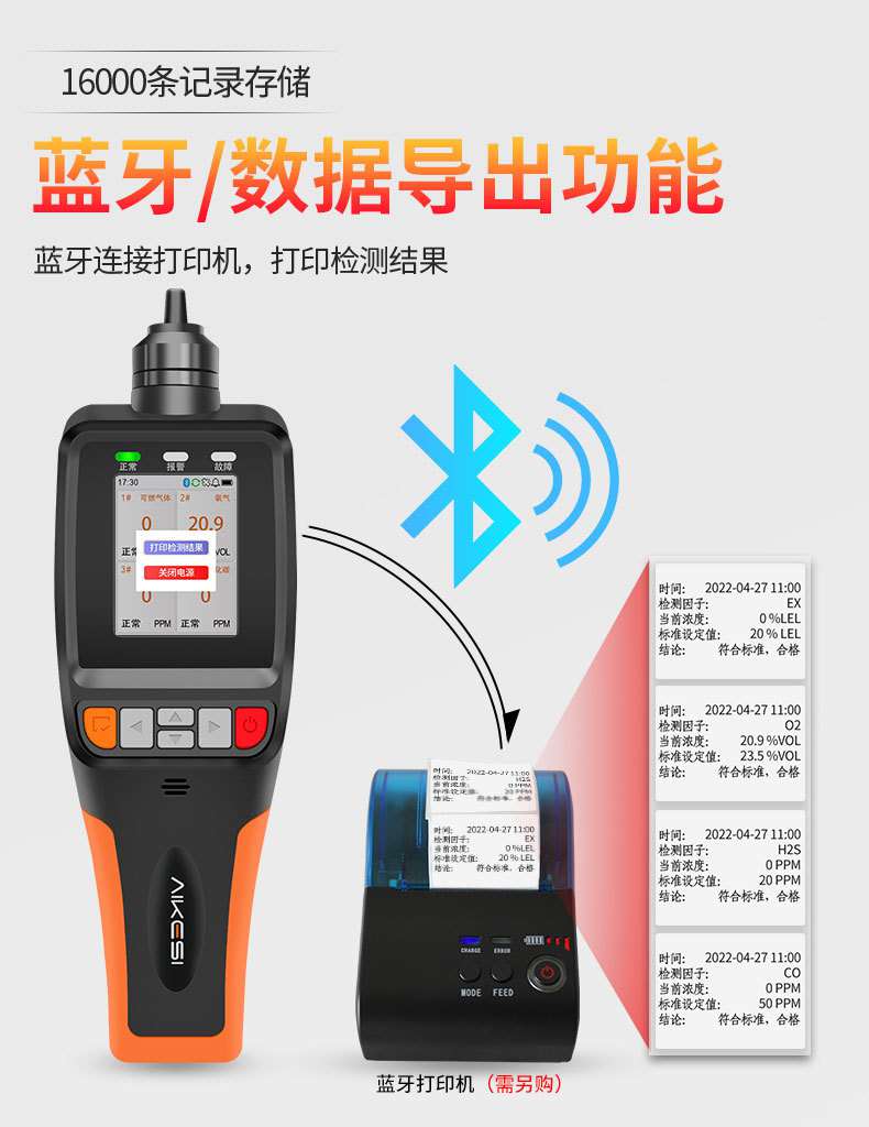 爱德克斯BX-168泵吸式气体检测仪6.jpg