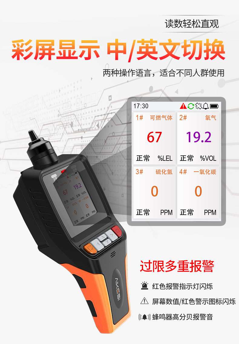 爱德克斯BX-168泵吸式气体检测仪10.jpg
