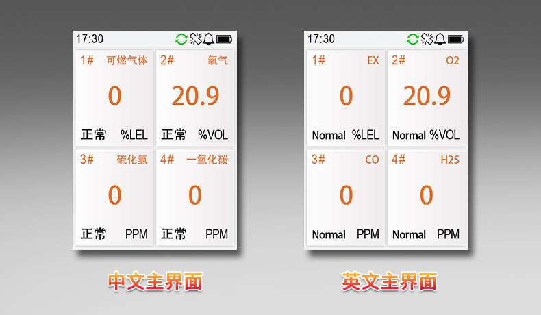 爱德克斯BX-168泵吸式气体检测仪11.jpg