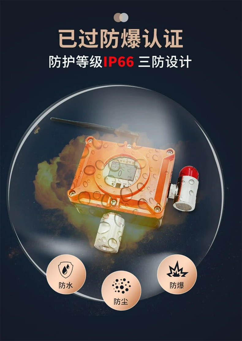 爱德克斯BTYQ-DC50气体探测仪15.jpg