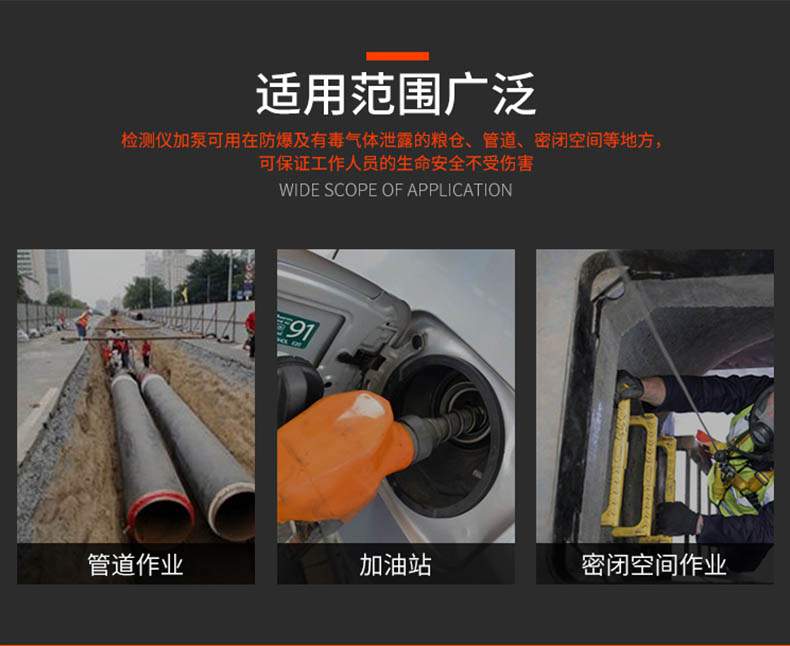 爱德克斯B-1气体采样泵3.jpg