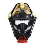 梅思安10149883超宽视野防毒面具  
