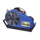 梅思安10126043 MSA 250T高压空气压缩机三相5.5KW